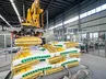 Automatic Palletizer (Palletizing Robot)