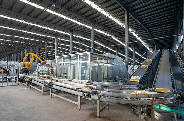 Automation & Packaging Equipment